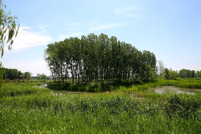 1623383341108722.jpg 640.webp (4).jpg