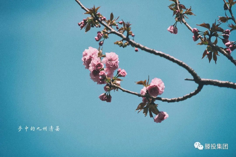 1680485618117521.jpg 5.jpg