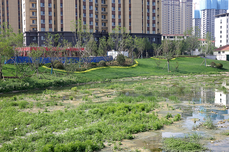 1684220807103292.jpg HW6A7337.JPG