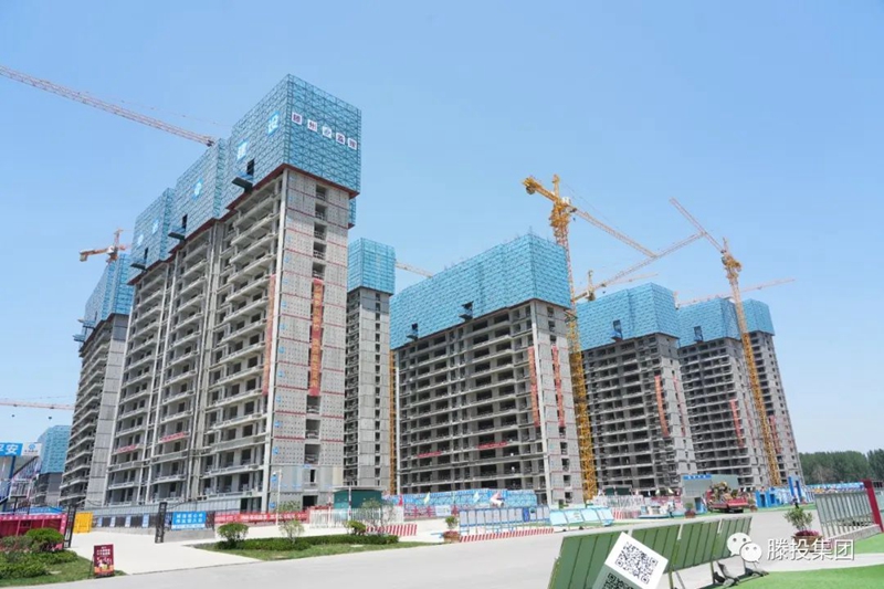 1687912446402828.jpg 2.jpg